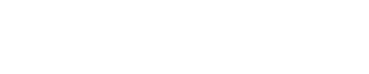 text if the image fails to load
